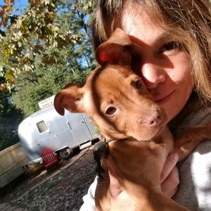 Meet your Posher, Gina